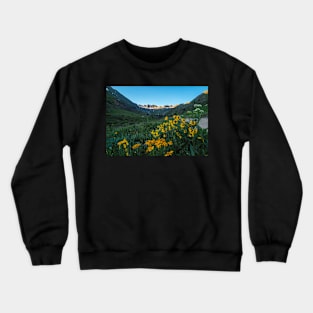 August in American Basin Crewneck Sweatshirt